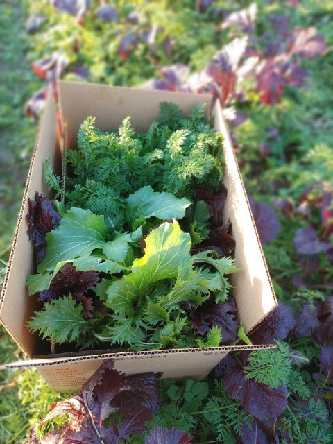 Farm Fresh Subscription Box
