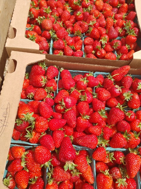 Farm Fresh Subscription Box