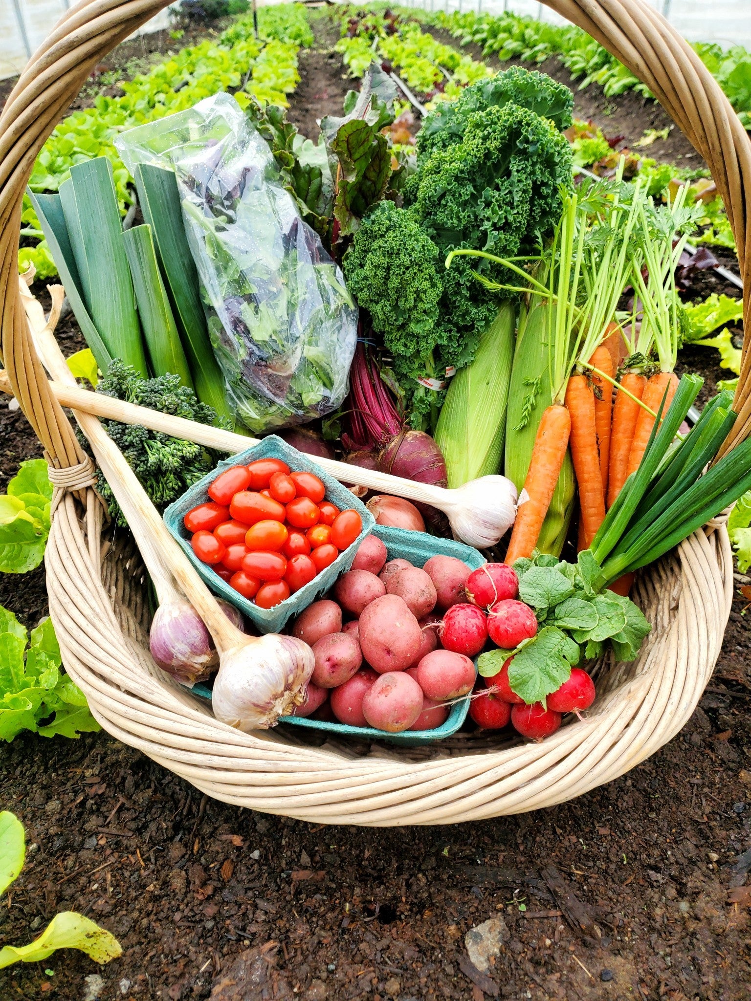 Farm Fresh Subscription Box